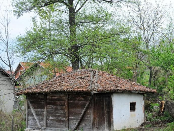 Bistricki Mir 1 Apartment Petrovac na Mlavi Exterior foto