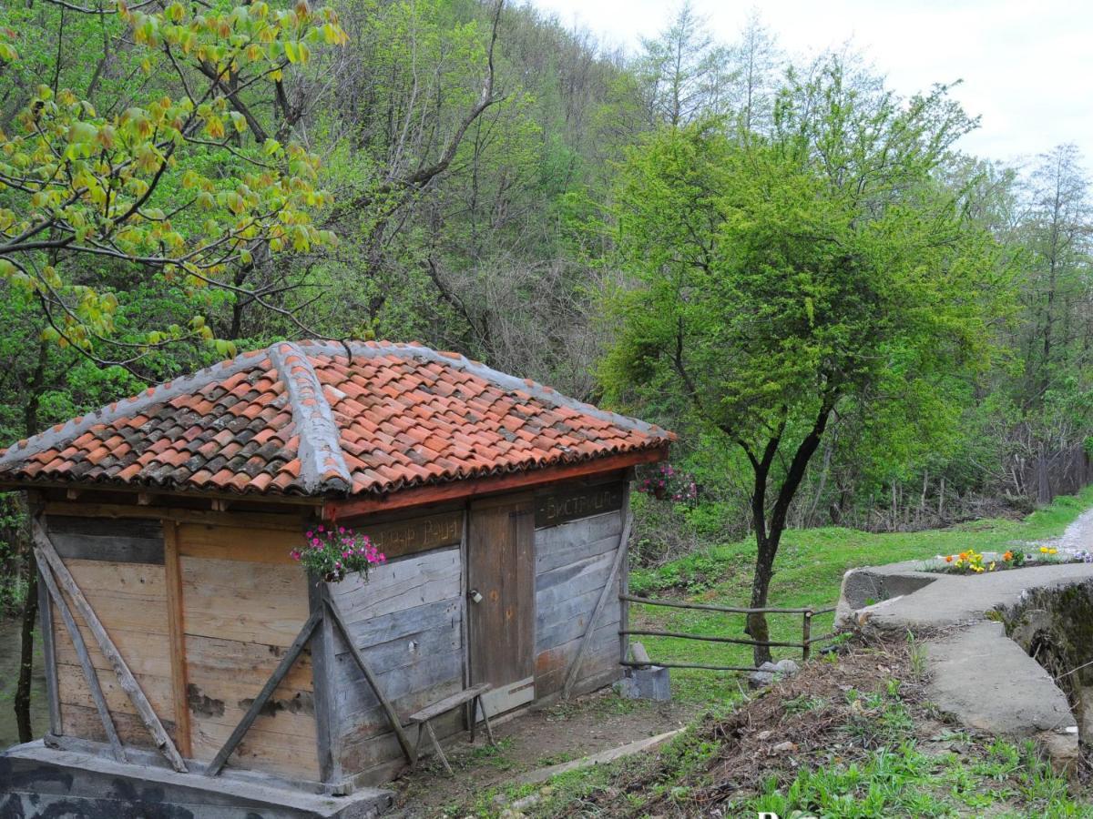 Bistricki Mir 1 Apartment Petrovac na Mlavi Exterior foto